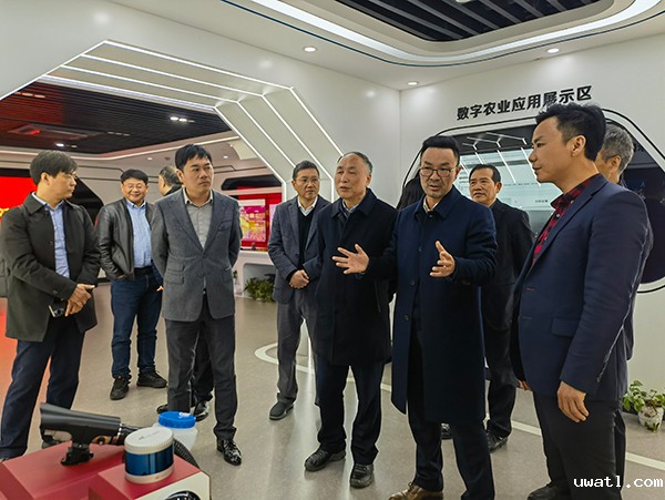 1710235663542902.jpg SEO1.jpg