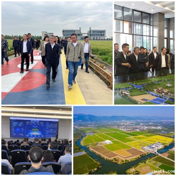 1714465332159670.jpg SEO (5).jpg