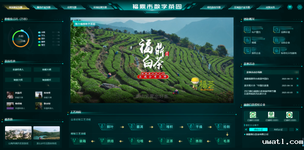 1716885973667659.png 2福鼎数字茶园_副本.png