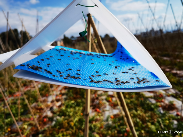 1718953227218672.png 2_副本.png