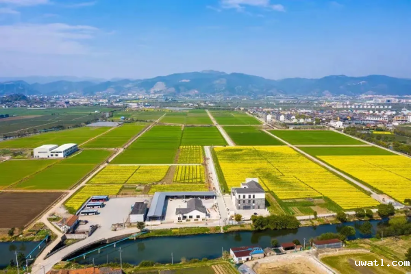 1721292289592426.png SEO (5).png