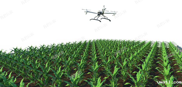 1722997194721459.png 田间无人机式植物高通量表型采集分析平台_600.png