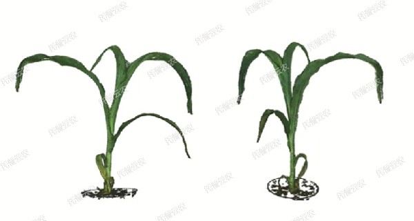 1723009899471880.jpg 逆境模拟及植物生长监测平台-3维.jpg