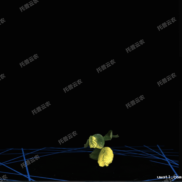 1723434897914368.gif 合成 3_7.gif