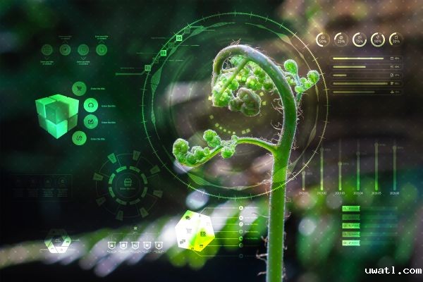 1724318257894257.jpg SEO (1).jpg