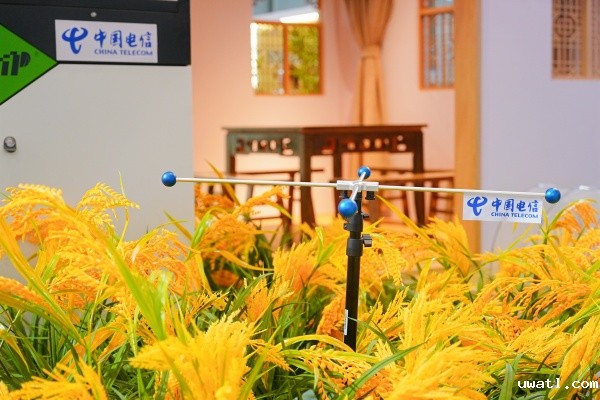 1727083301321541.jpg 图4_副本.jpg