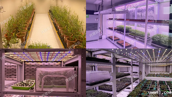 1727167026582812.png 4.png