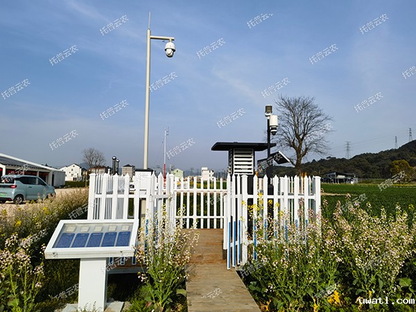 1727167071419041.jpg 5.jpg