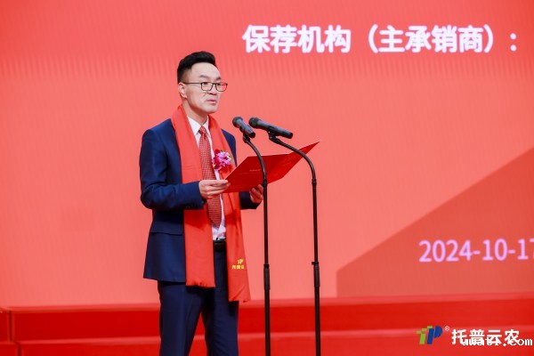 1729158195993654.jpg SEO (4).jpg