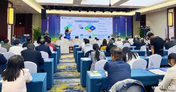 1729502686615464.jpeg 1.jpeg