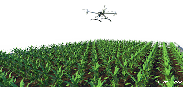 1729586355861195.png 7.png