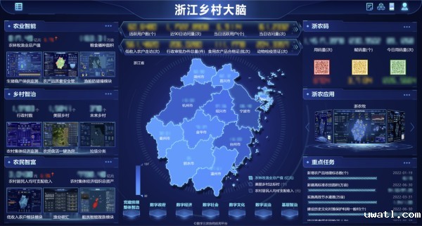 乡村大脑.jpg