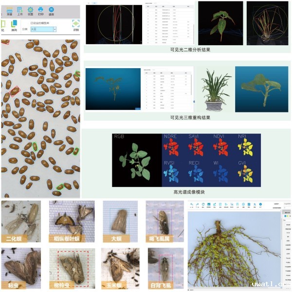 1741167385473577.jpg SEO-3.jpg