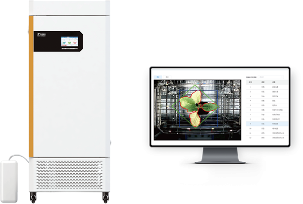 1742202325756686.png 1.png