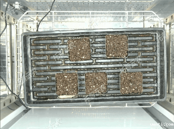 1742202475265991.png 1.png