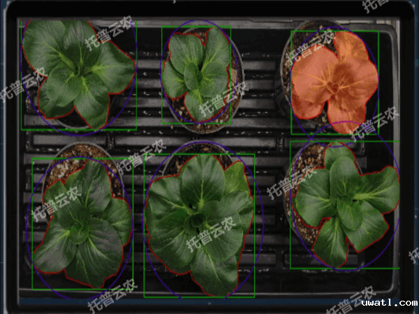 1742202513310587.gif 4(云农).gif