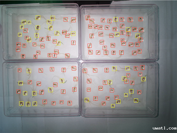 1742202568643659.png 6.png