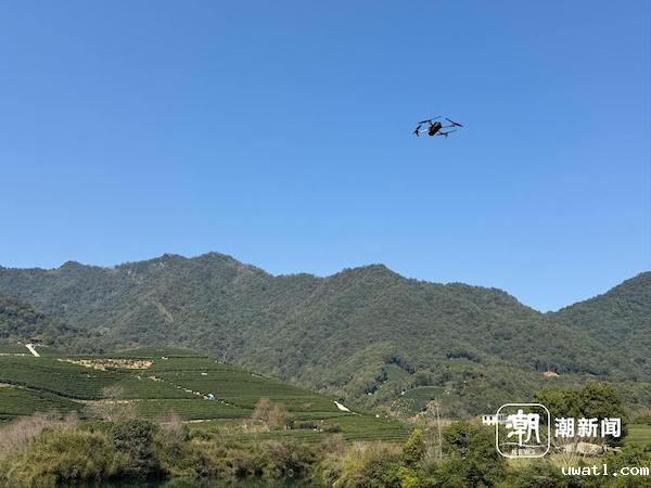 1742808024787445.jpg 3.jpg