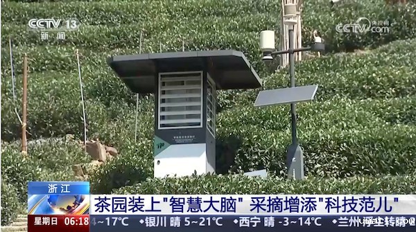 1743408414892172.jpg 1.jpg