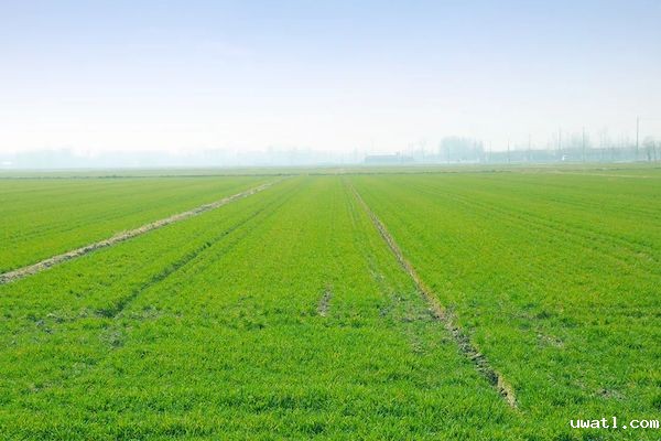 1743409094997328.jpg 1.jpg