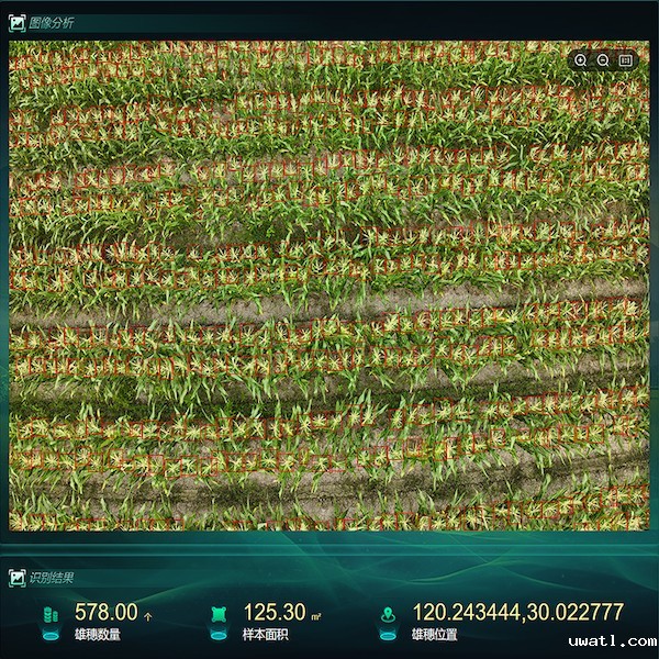 4.jpg