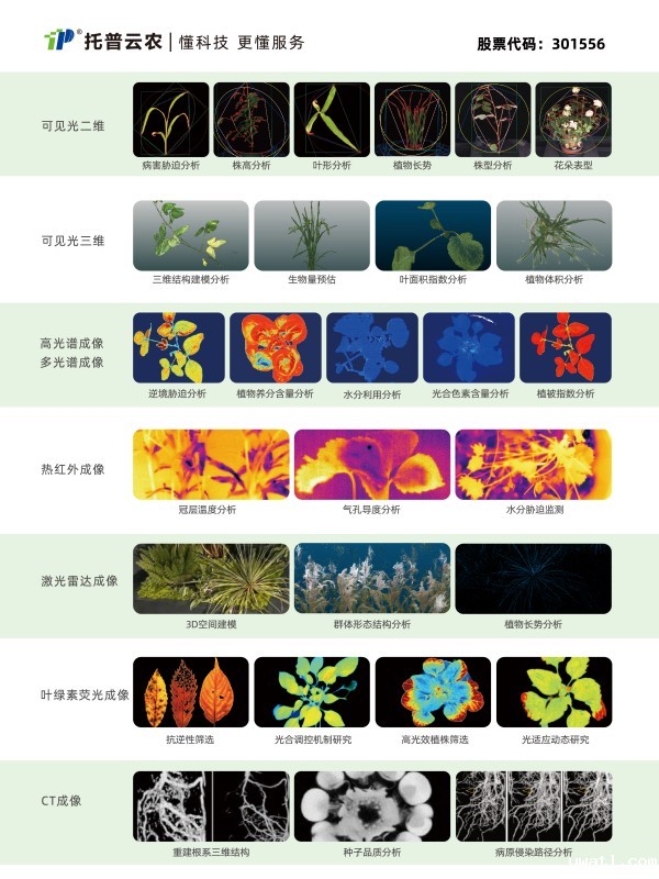 1746696112975902.jpg 图2.jpg