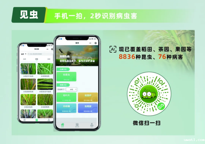 图片4_副本.png