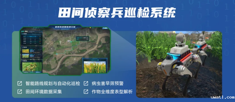 图片12_副本.png