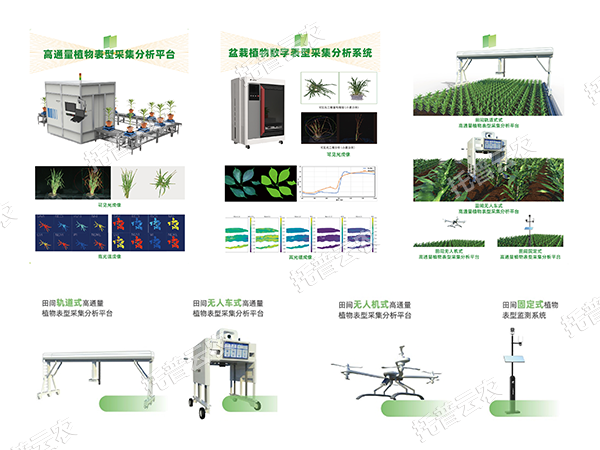 1748591477299462.png 图片1.png