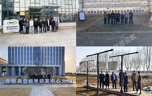 1748592076856474.png 图片6.png