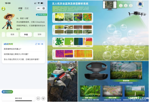 1749086346260366.png SEO图5.png