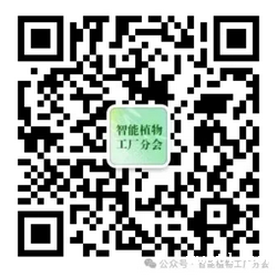 1749522484263099.png 4.png