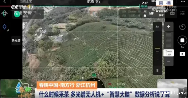 1749540199228169.png 图片7.png