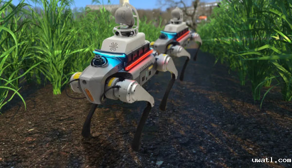 1749608658487889.png SEO4.png