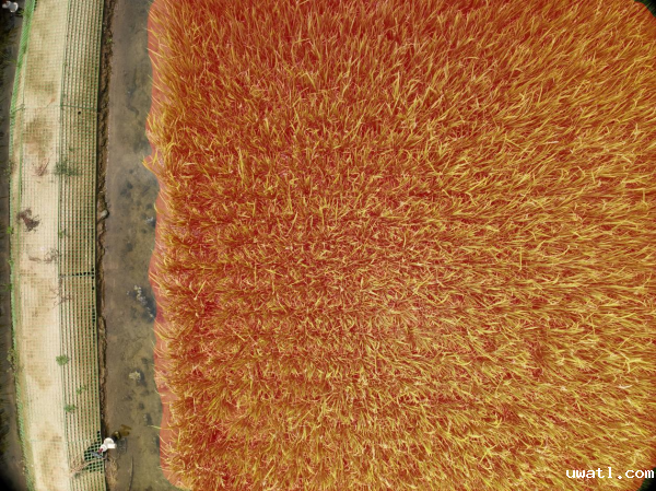 1750905650655197.png seo-2.png