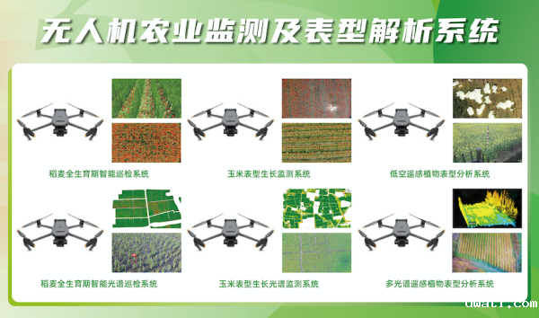 1750905728802924.png seo-3.png