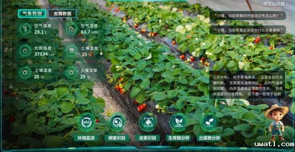 1751591066190398.jpg 4_副本.jpg