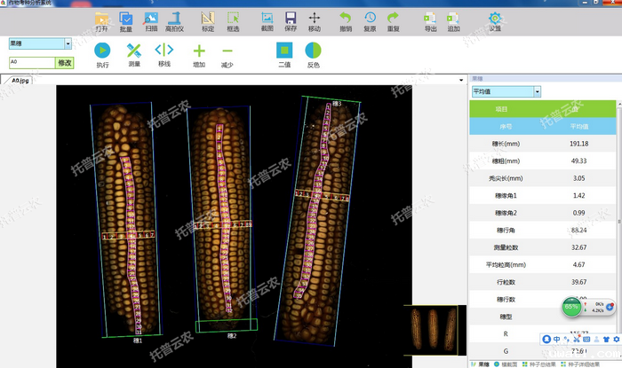 1757405922251812.png 果穗识别.png