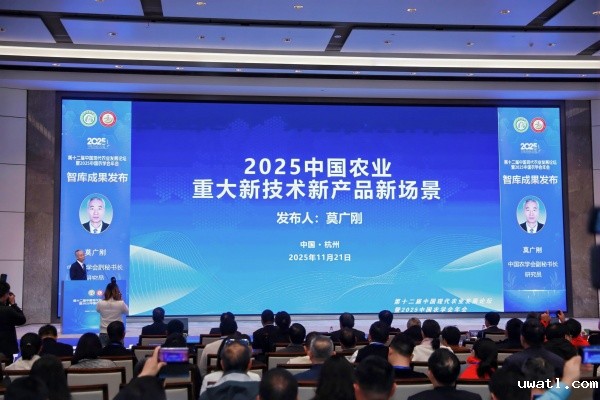 1764124415593634.jpg 2_副本.jpg